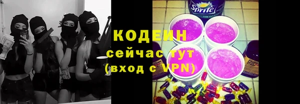 хмурый Кодинск