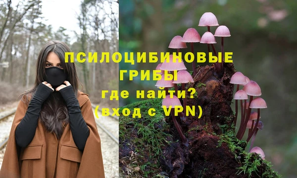 ПСИЛОЦИБИНОВЫЕ ГРИБЫ Краснослободск